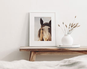 Modern Crop Paint Horse