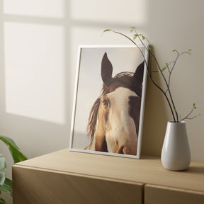 Modern Crop Paint Horse