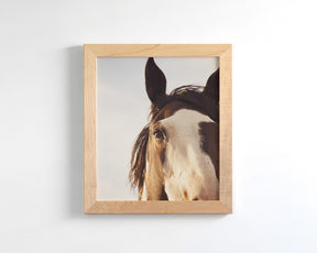 Modern Crop Paint Horse
