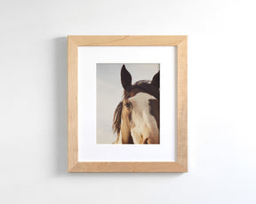 Modern Crop Paint Horse