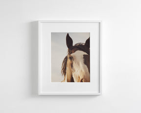 Modern Crop Paint Horse