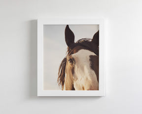 Modern Crop Paint Horse
