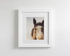Modern Crop Paint Horse