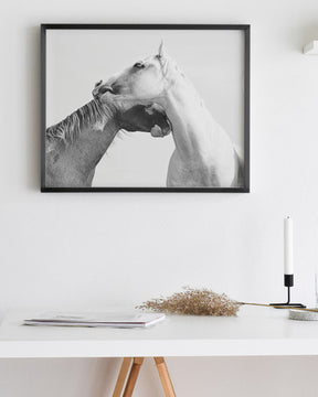 Modern White Horse Print