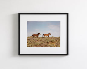 Wild Family