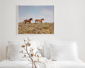 Wild Family