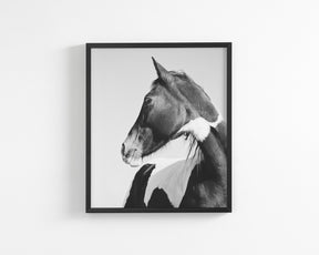 Paint Profile, Vertical