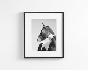 Paint Profile, Vertical