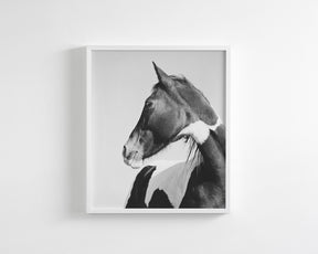 Paint Profile, Vertical