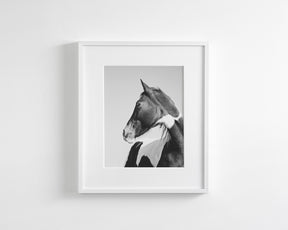 Paint Profile, Vertical