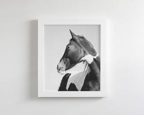 Paint Profile, Vertical