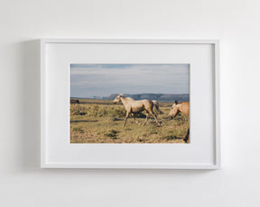 Unbridled- Wild Palomino Horse