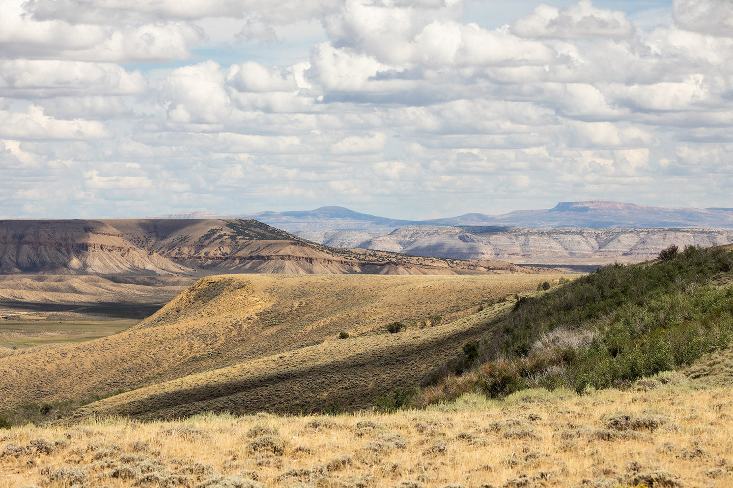 Rangeland