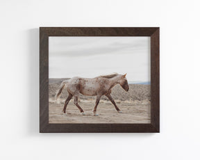Sandy Roan