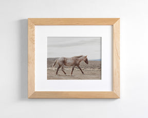 Sandy Roan