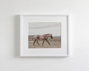 Sandy Roan