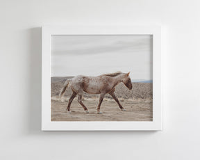 Sandy Roan