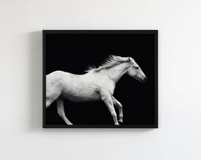 White Horse Run