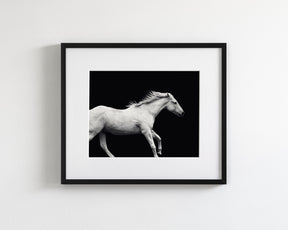 White Horse Run