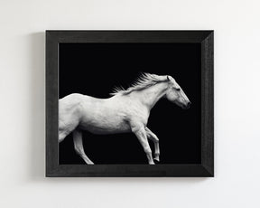 White Horse Run