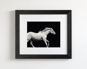 White Horse Run
