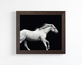 White Horse Run