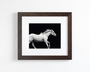White Horse Run