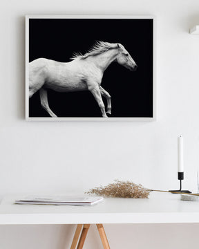 White Horse Run