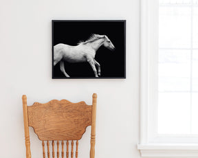 White Horse Run