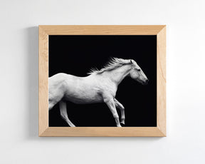 White Horse Run