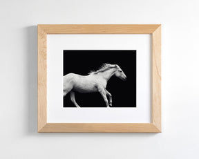 White Horse Run