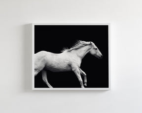 White Horse Run