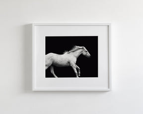 White Horse Run