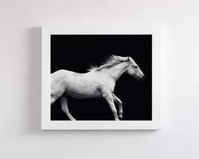 White Horse Run