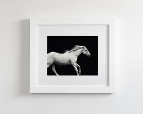 White Horse Run