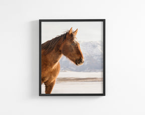 Rustic Mountain Horse in Winter