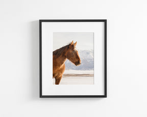 Rustic Mountain Horse in Winter