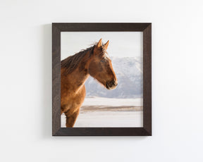Rustic Mountain Horse in Winter