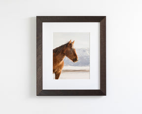 Rustic Mountain Horse in Winter