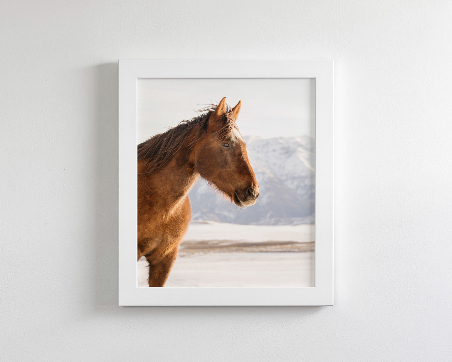Rustic Mountain Horse in Winter