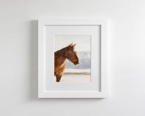Rustic Mountain Horse in Winter