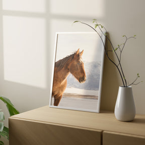 Rustic Mountain Horse in Winter