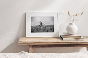 Horse and Sage