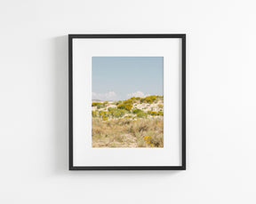 Sandflowers