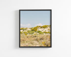 Sandflowers