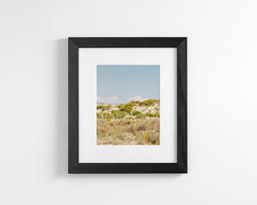 Sandflowers