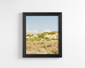 Sandflowers