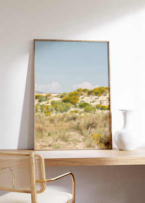 Sandflowers