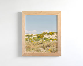 Sandflowers