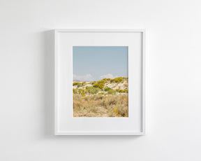 Sandflowers